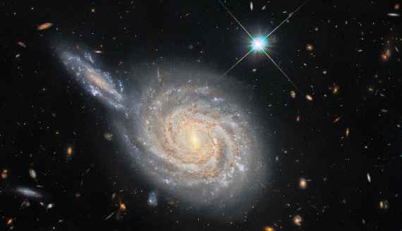 This image from the NASA/ESA Hubble Space Telescope captures the spiral galaxy NGC 105, which lies roughly 215 million light-years away in the constellation Pisces. While it looks like NGC 105 is plunging edge-on into a collision with a neighbouring galaxy, this is just the result of the chance alignment of the two objects in the night sky. NGC 105’s elongated neighbour is actually far more distant and remains relatively unknown to astronomers. These misleading conjunctions occur frequently in astronomy — for example, the stars in constellations are at vastly different distances from Earth, and only appear to form patterns thanks to the chance alignment of their component stars. The Wide Field Camera 3 observations in this image are from a vast collection of Hubble measurements examining nearby galaxies which contain two fascinating astronomical phenomena — Cepheid variables and cataclysmic supernova explosions. Whilst these two phenomena may appear to be unrelated — one is a peculiar class of pulsating stars and the other is the explosion caused by the catastrophic final throes of a massive star’s life — they are both used by astronomers for a very particular purpose: measuring the vast distances to astronomical objects. Both Cepheids and supernovae have very predictable luminosities, meaning that astronomers can tell precisely how bright they are. By measuring how bright they appear when observed from Earth, these “standard candles” can provide reliable distance measurements. NGC 105 contains both supernovae and Cepheid variables, giving astronomers a valuable opportunity to calibrate the two distance measurement techniques against one another. Astronomers recently carefully analysed the distances to a sample of galaxies including NGC 105 to measure how fast the Universe is expanding — a value known as the Hubble constant. Their results don’t agree with the predictions of the most widely-accepted cosmological model, and their analysis shows tha