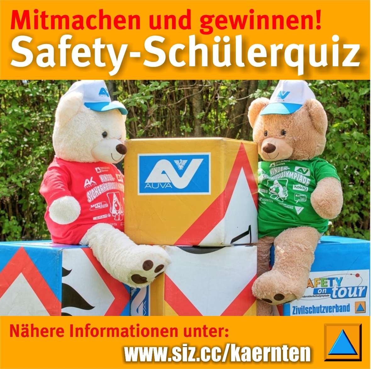 Kärntner Zivilschutzverband